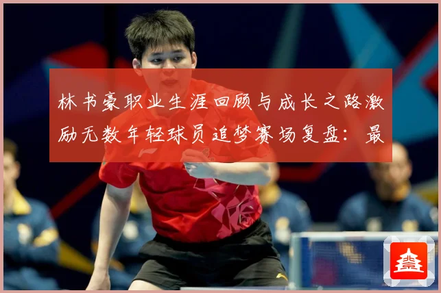 林书豪职业生涯回顾与成长之路激励无数年轻球员追梦赛场复盘：最新赛事动态与深度分析